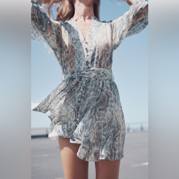 Zara Dresses & Skirts - Nwt-Zara- METALLIC THREAD ANIMAL PRINT DRESS-Small
